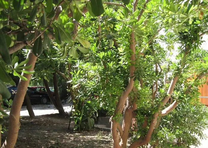 Seaside House Kastel Novi, - 7554 Semesterbostad Kaštela